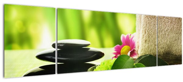 Obraz masážních pomůcek (170x50 cm)