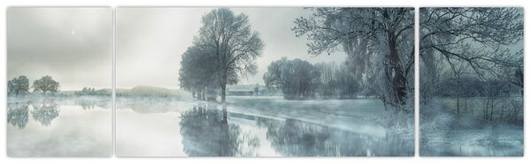 Obraz zimní přírody (170x50 cm)