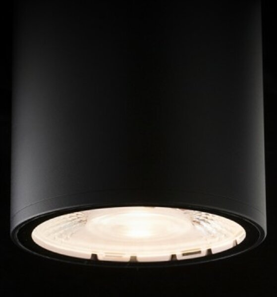 RED - DESIGN RENDL RENDL KORNELIA 10 stropní svítidlo černá 230V LED 15W IP65 3000K R14381
