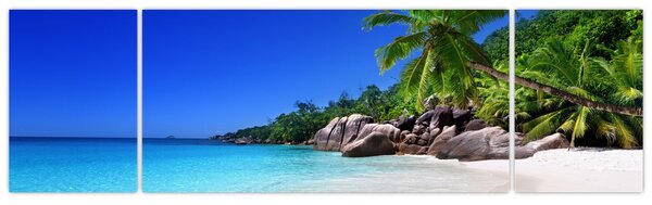 Obraz pláže na Praslin ostrově (170x50 cm)