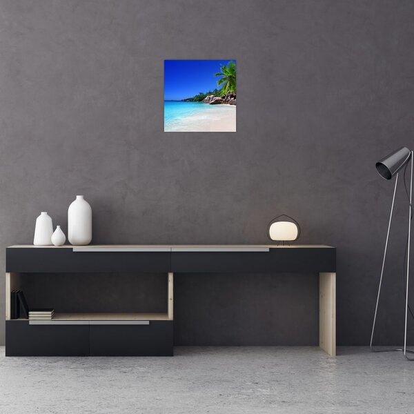 Obraz pláže na Praslin ostrově (30x30 cm)