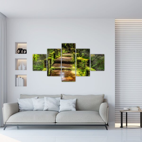 Obraz schodů v deštném pralese (125x70 cm)