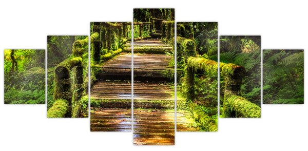 Obraz schodů v deštném pralese (210x100 cm)