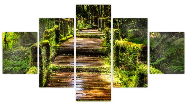 Obraz schodů v deštném pralese (125x70 cm)