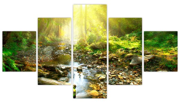Obraz řeky v zeleném lese (125x70 cm)
