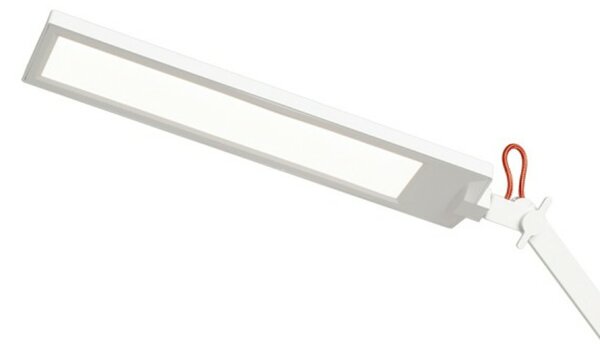 RED - DESIGN RENDL RENDL NORMA DIMM stolní lampa bílá/červená 230V LED 10W 100° 3000K/4000K/6500K R14292