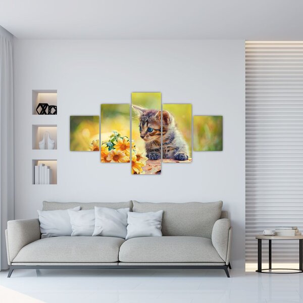 Obraz koťátka dívající se na květinu (125x70 cm)