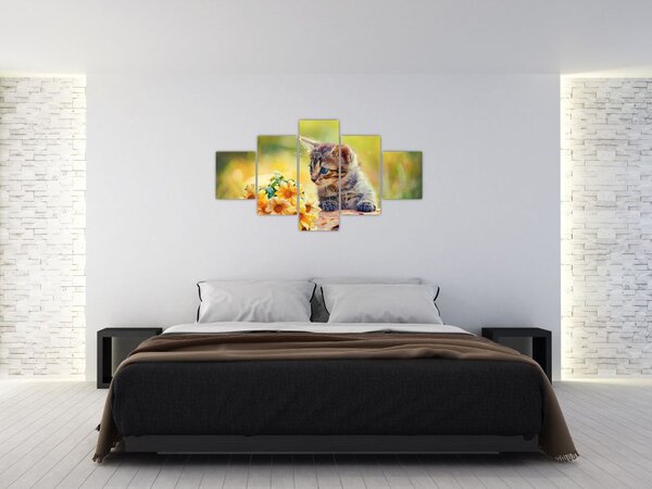 Obraz koťátka dívající se na květinu (125x70 cm)