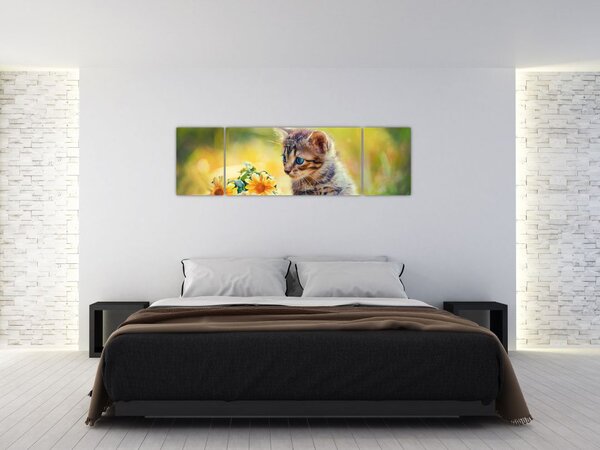 Obraz koťátka dívající se na květinu (170x50 cm)