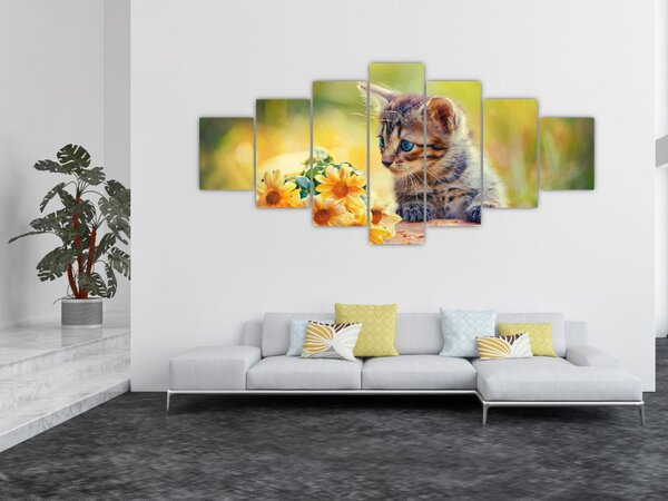 Obraz koťátka dívající se na květinu (210x100 cm)