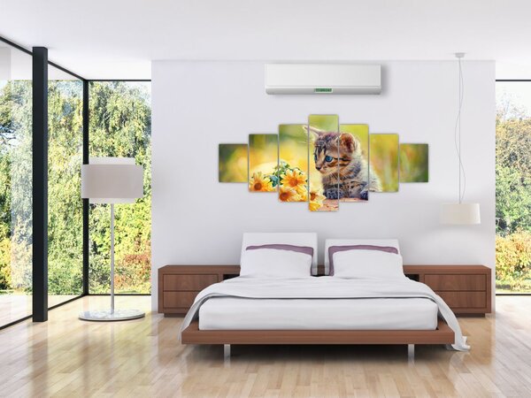 Obraz koťátka dívající se na květinu (210x100 cm)