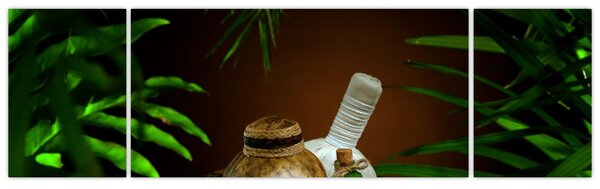 Obraz spa věcí (170x50 cm)