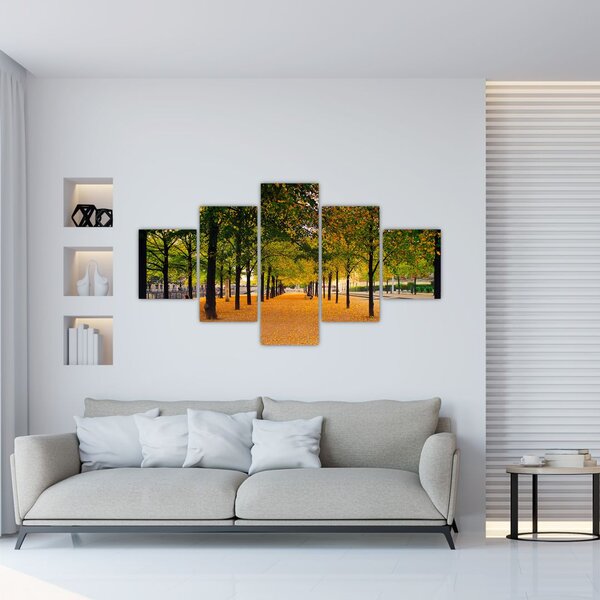 Obraz aleje podzimních stromů (125x70 cm)