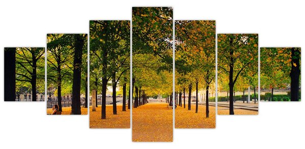 Obraz aleje podzimních stromů (210x100 cm)