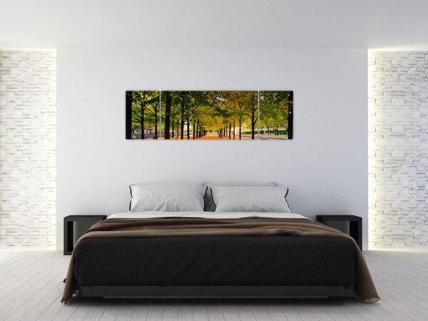 Obraz aleje podzimních stromů (170x50 cm)