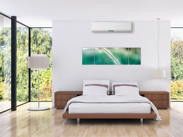 Obraz stébla trávy (170x50 cm)