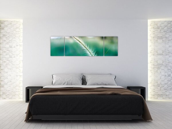 Obraz stébla trávy (170x50 cm)