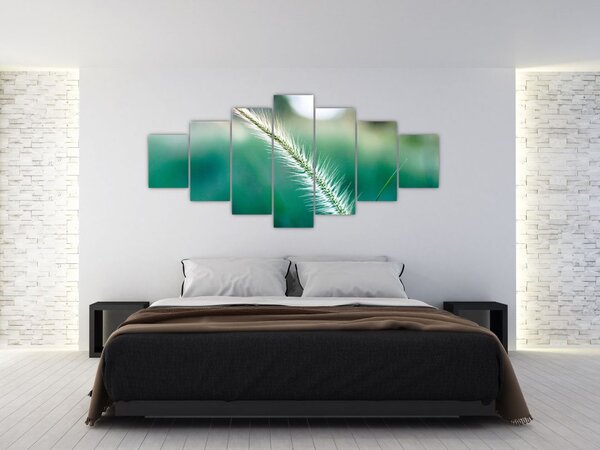 Obraz stébla trávy (210x100 cm)