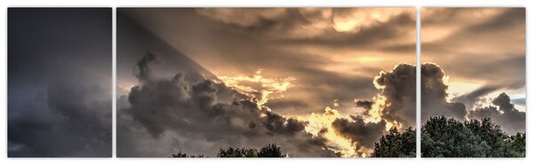 Obraz mračen a lesa (170x50 cm)