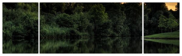 Obraz jezera u lesa (170x50 cm)