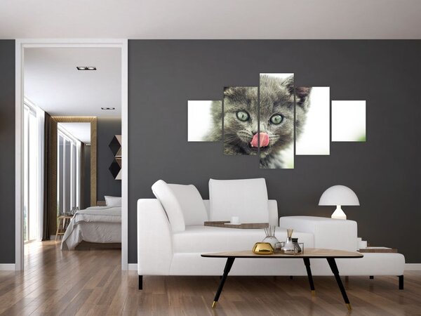 Obraz oblizujícího se kotěte (125x70 cm)