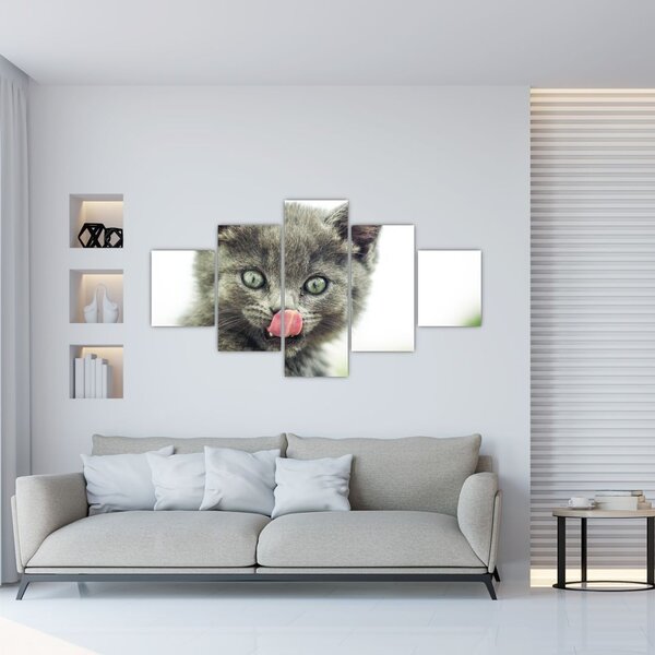Obraz oblizujícího se kotěte (125x70 cm)