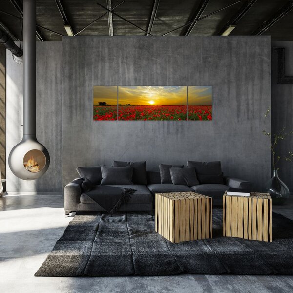 Obraz pole vlčích máků (170x50 cm)