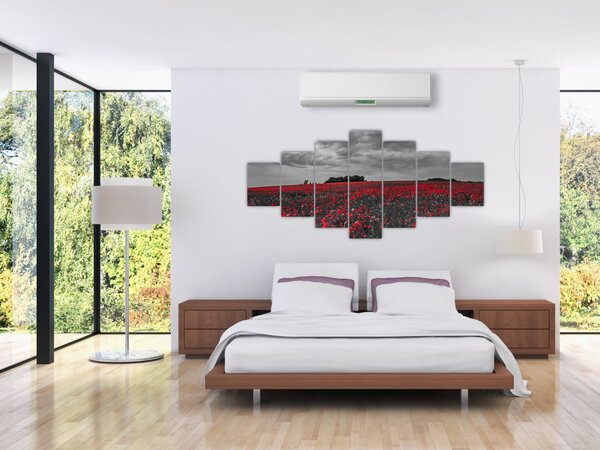 Obraz vlčích máků (210x100 cm)