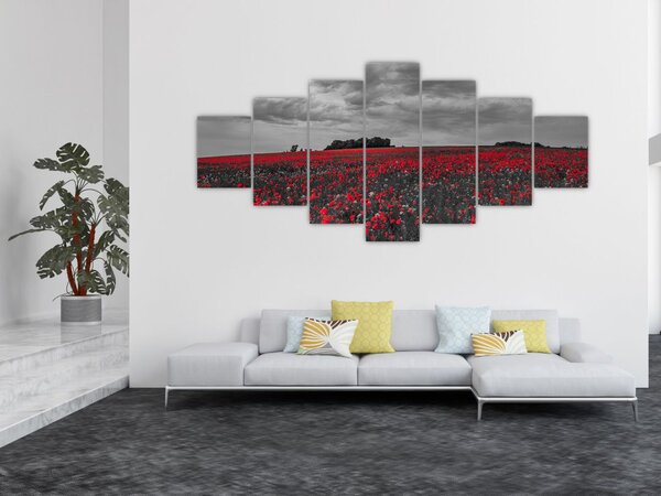 Obraz vlčích máků (210x100 cm)