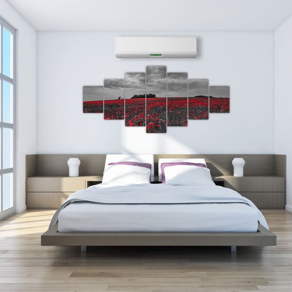 Obraz vlčích máků (210x100 cm)