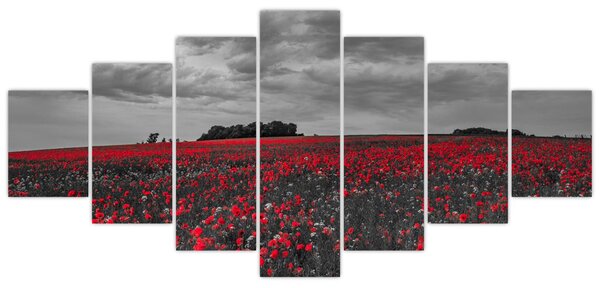 Obraz vlčích máků (210x100 cm)