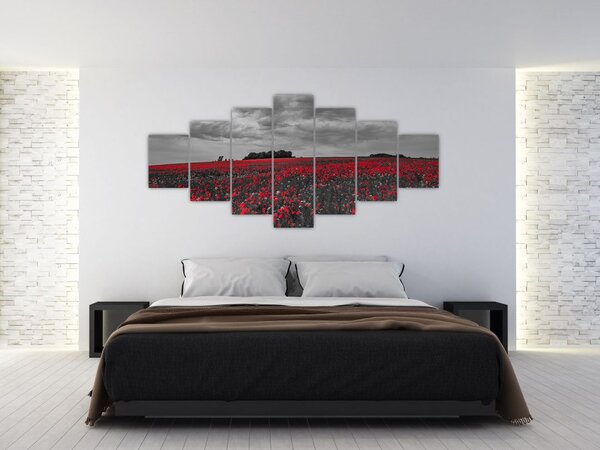 Obraz vlčích máků (210x100 cm)
