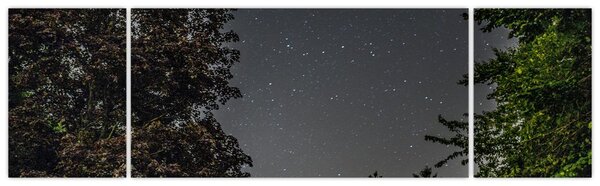 Obraz noční oblohy (170x50 cm)