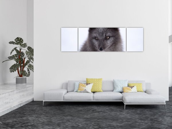 Obraz sněžné lišky (170x50 cm)