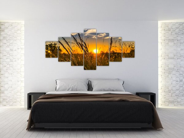 Obraz pole při západu slunce (210x100 cm)