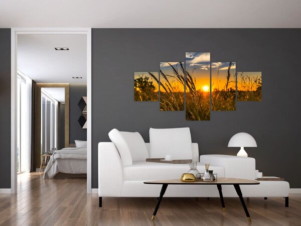 Obraz pole při západu slunce (125x70 cm)