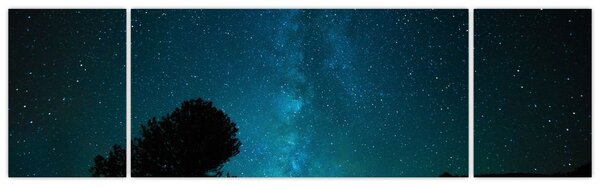 Obraz noční oblohy s hvězdami (170x50 cm)