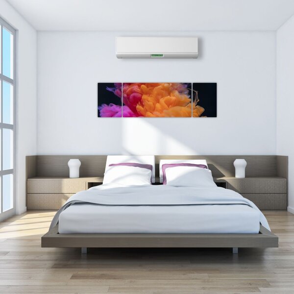 Obraz abstrakce (170x50 cm)