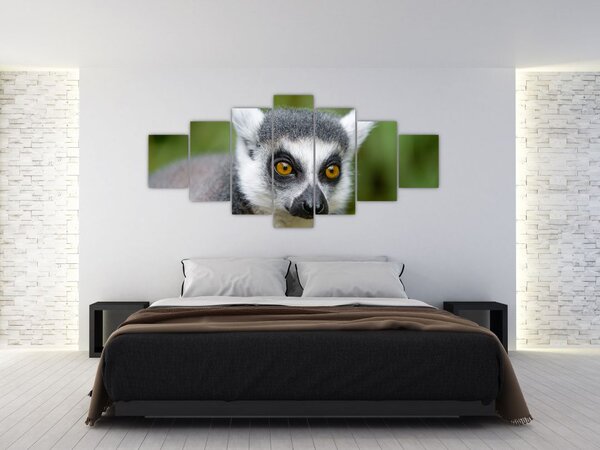 Obraz lemura (210x100 cm)