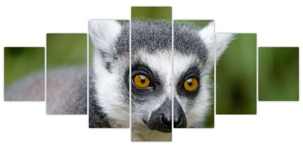 Obraz lemura (210x100 cm)
