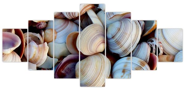 Obraz mušlí (210x100 cm)