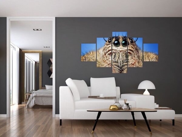 Obraz detailu pavouka (125x70 cm)