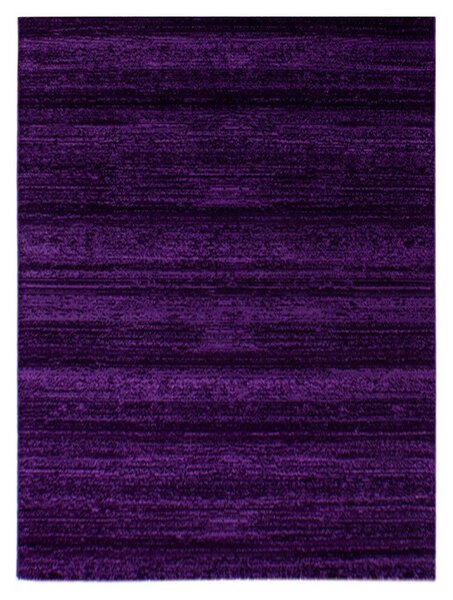 Kusový koberec Plus 8000 lila Rozměry koberců: 80x150 (na výběr více variant)