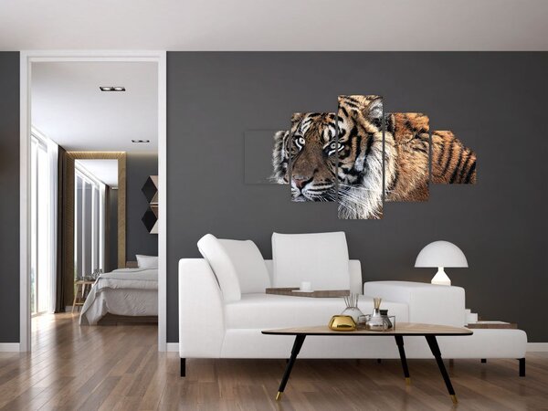 Obraz tygra (125x70 cm)