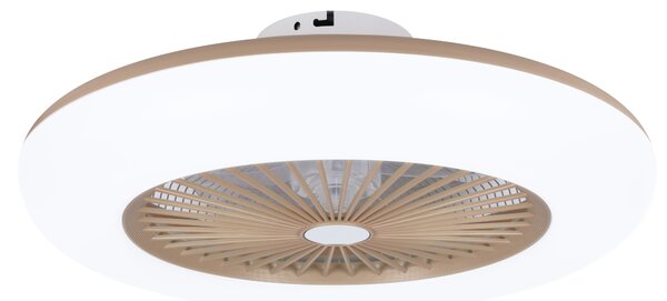 Noaton 11055G (2024) Callisto, zlatá, stropní ventilátor se světlem