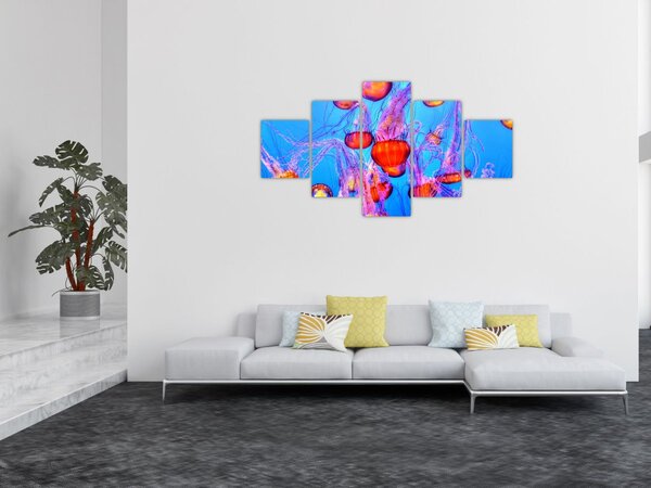 Obraz medúz v moři (125x70 cm)