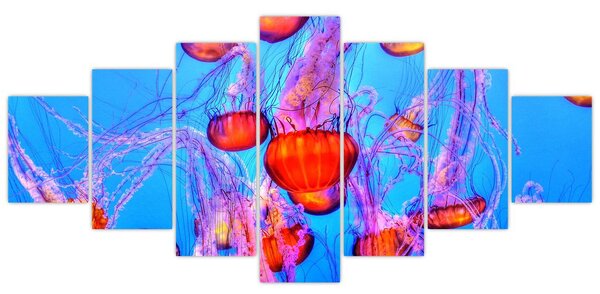 Obraz medúz v moři (210x100 cm)