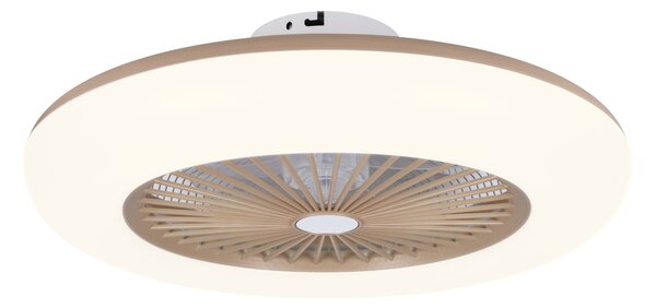 Noaton 11055G (2024) Callisto, zlatá, stropní ventilátor se světlem