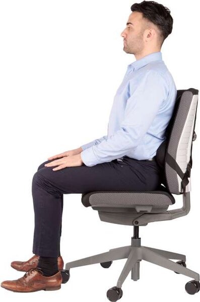 Zádová opěrka Fellowes Ultimate, černý