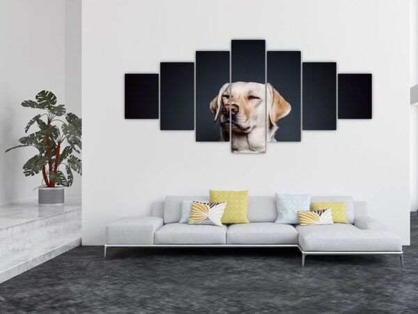 Obraz labradora (210x100 cm)